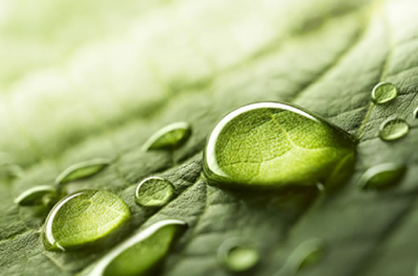 Environmental awareness